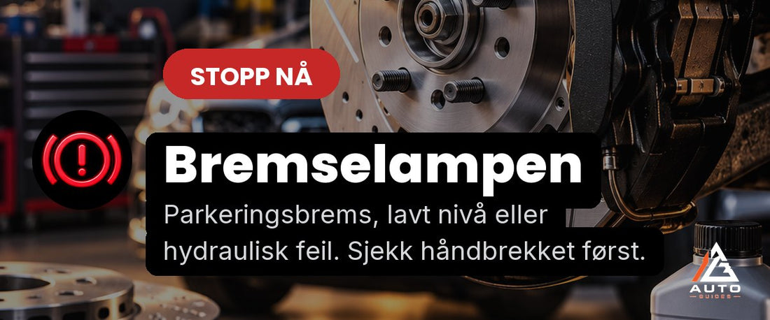 Bremselampen
