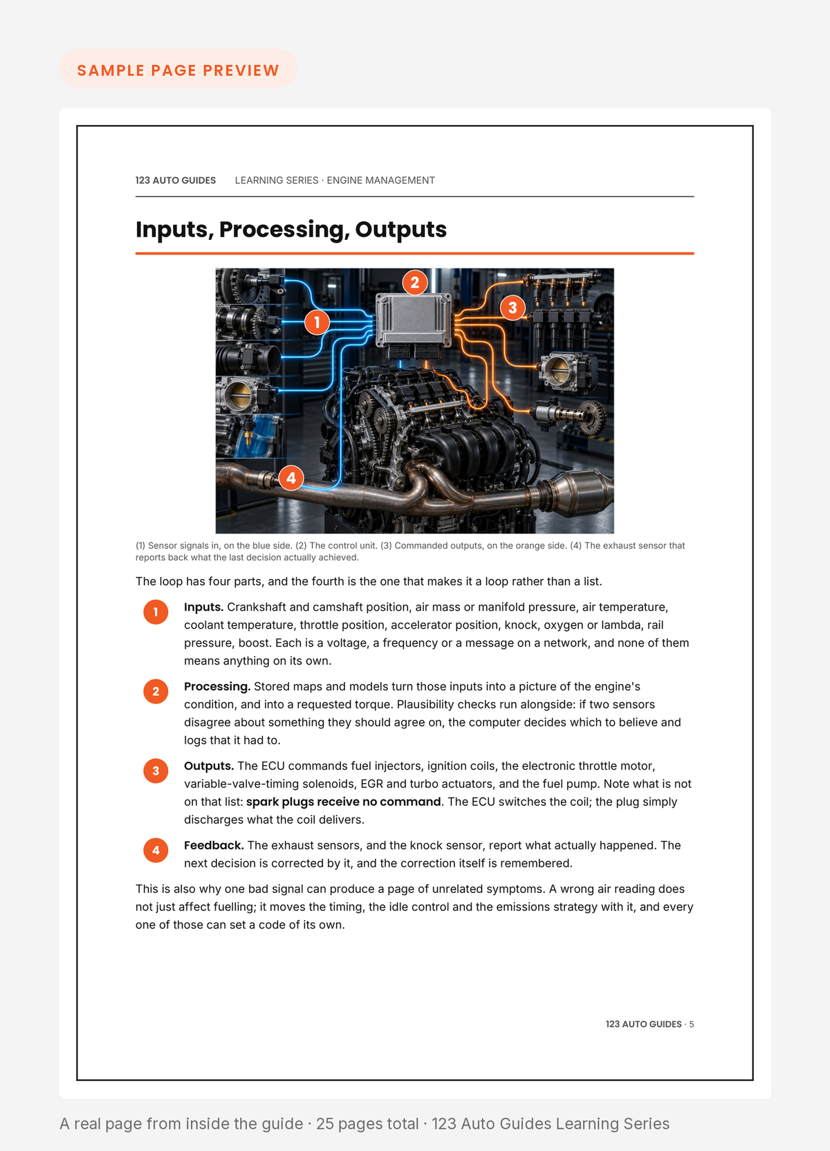 Sample page – Inputs, Processing, Outputs, with the numbered ECU loop