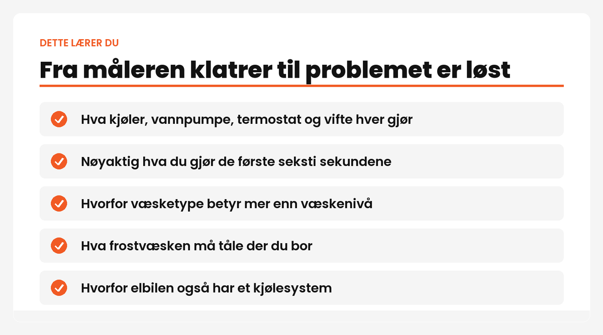 Dette lærer du