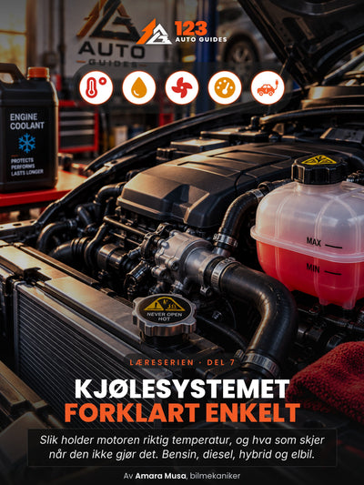 Kjolesystemet forklart enkelt, omslag